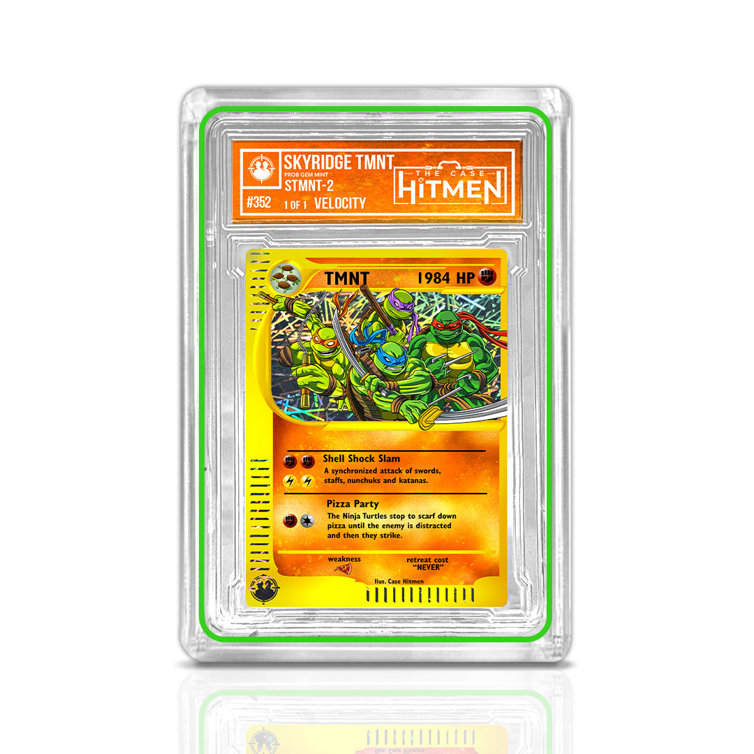 Skyridge TMNT