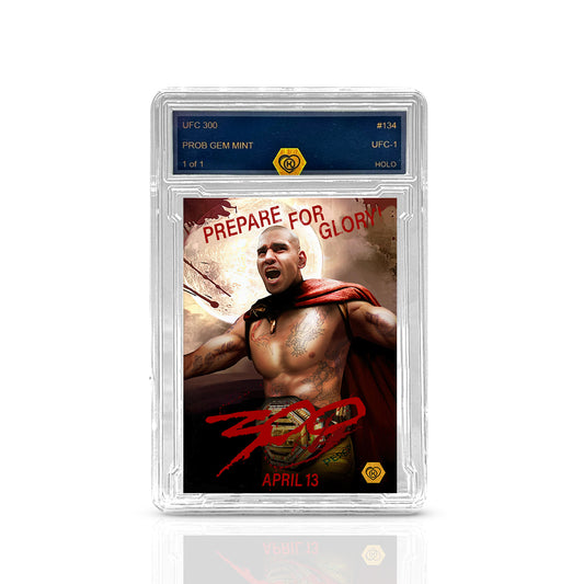 UFC 300